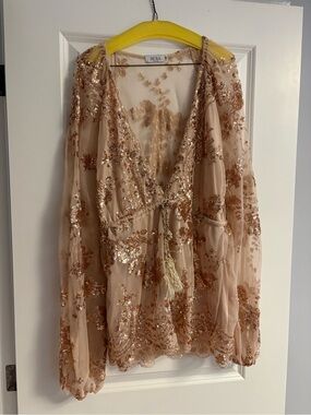 Rose Gold Sequin Embellished Sheer Mini Dress